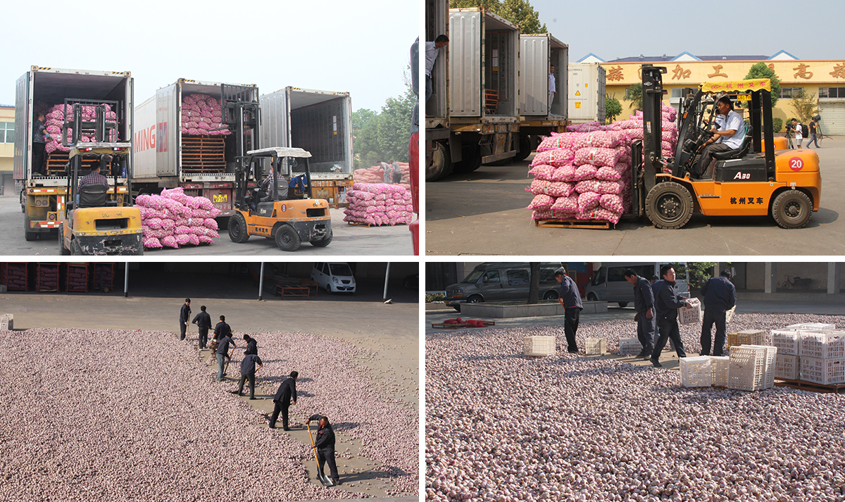 未標(biāo)題-4.jpg 未標(biāo)題-4.jpg