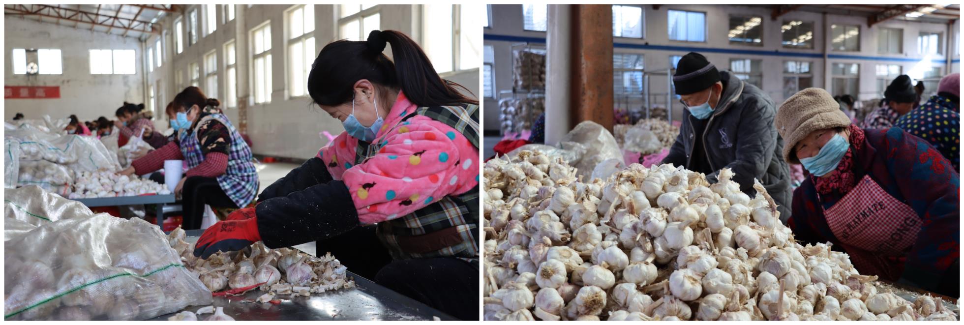 微信圖片_20210202133742_副本.jpg 微信圖片_20210202133742_副本.jpg