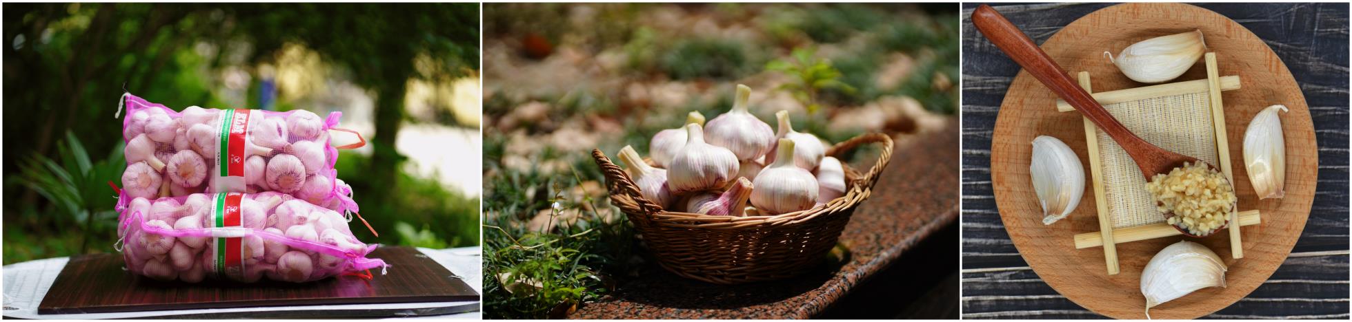 微信圖片_2021020.jpg 微信圖片_2021020.jpg