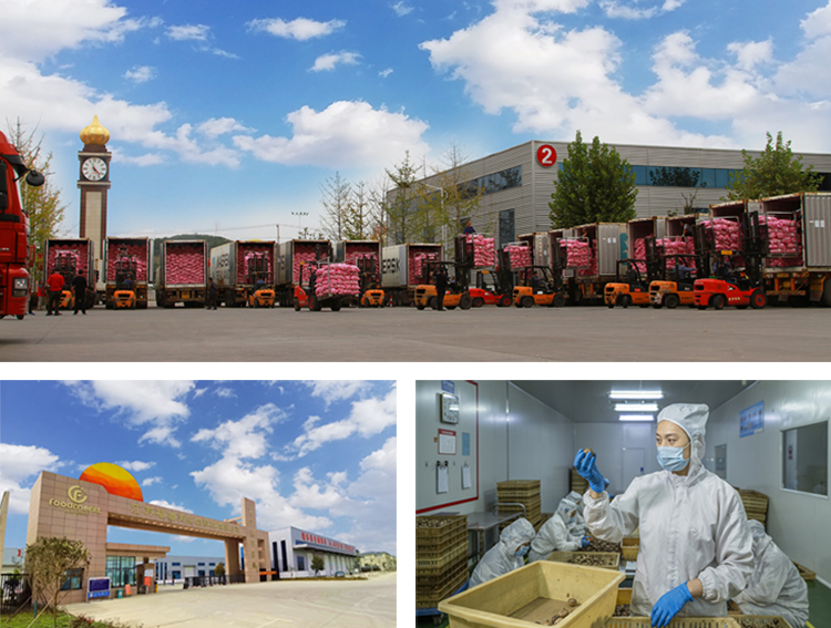 未標(biāo)題-1.jpg 未標(biāo)題-1.jpg